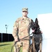 KFOR K9s demonstrate biting, scouting, other capabilities
