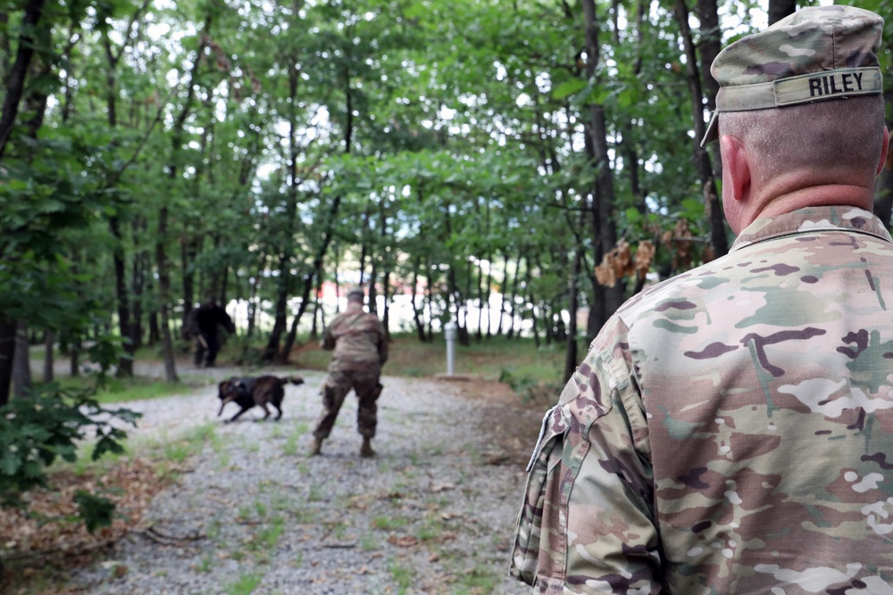 KFOR K9s demonstrate biting, scouting, other capabilities