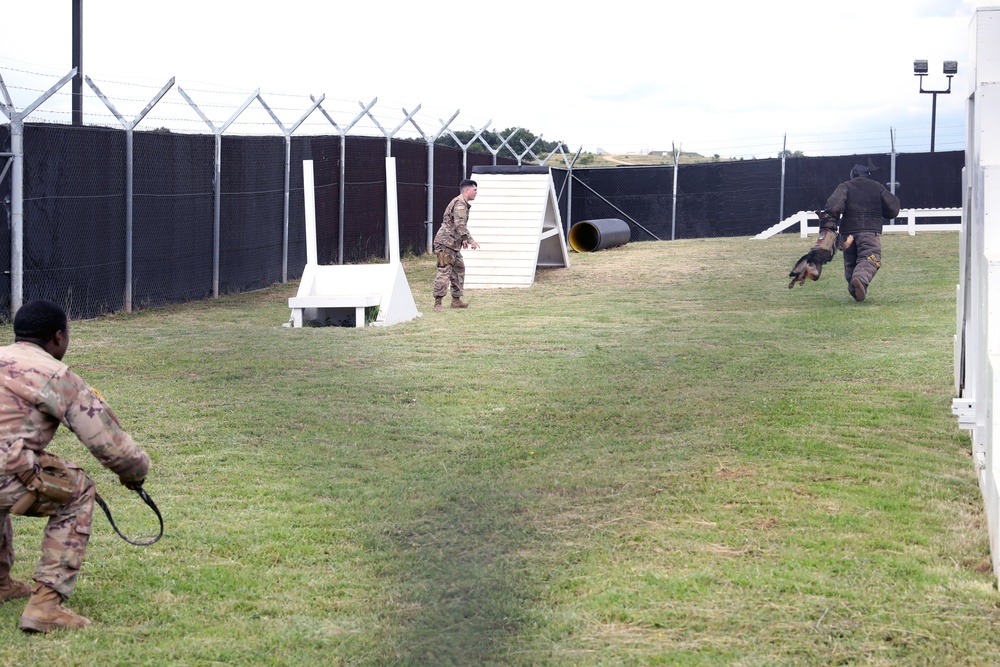 KFOR K9s demonstrate biting, scouting, other capabilities