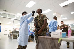 More Marines arrive in Darwin for MRF-D