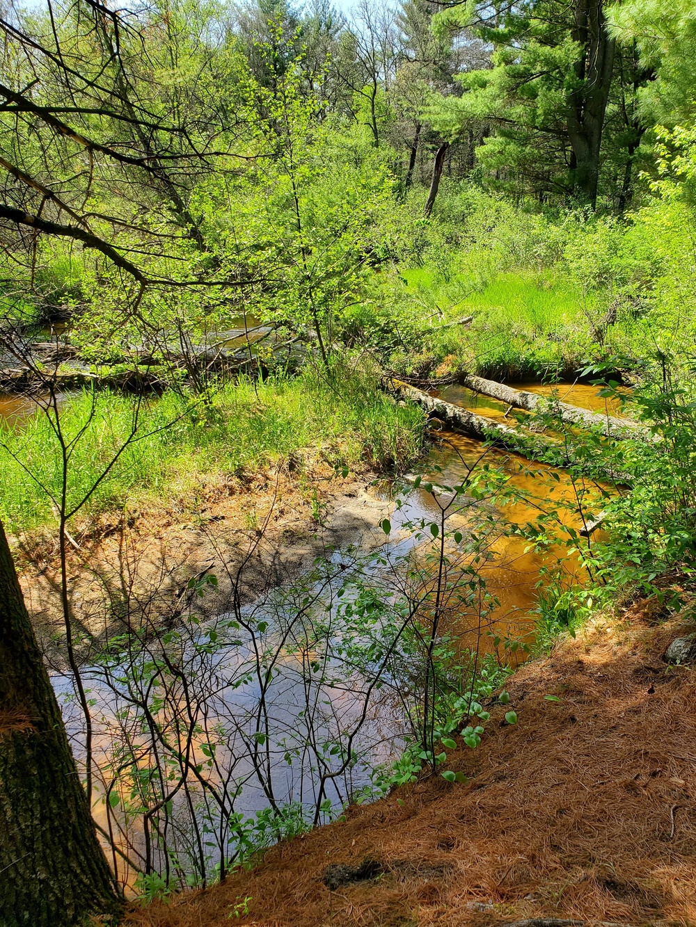 Fort McCoy's Pine View Recreation Area