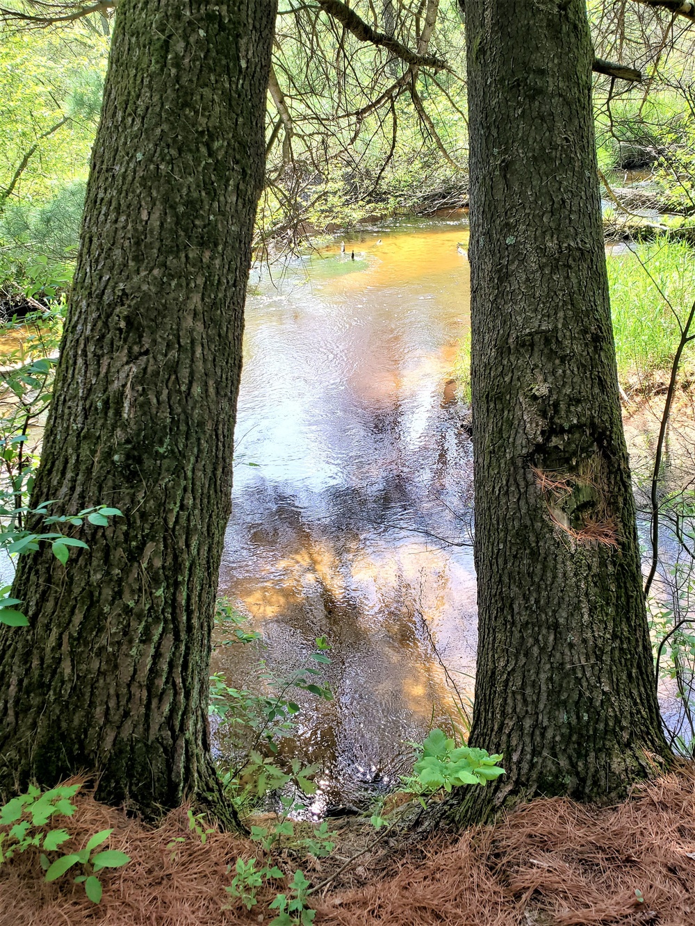 Fort McCoy's Pine View Recreation Area