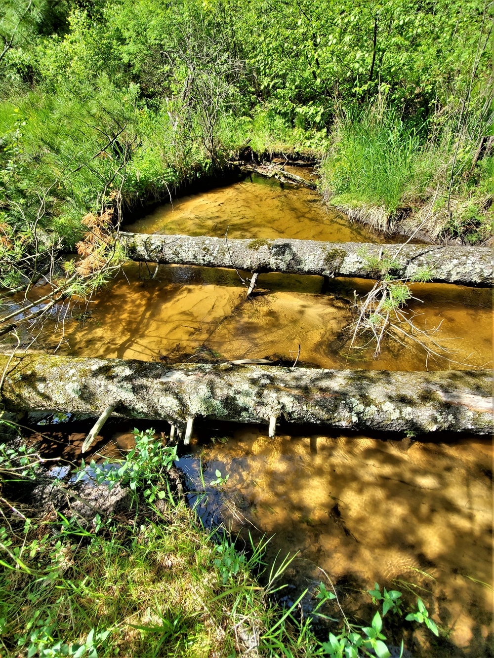 Fort McCoy's Pine View Recreation Area