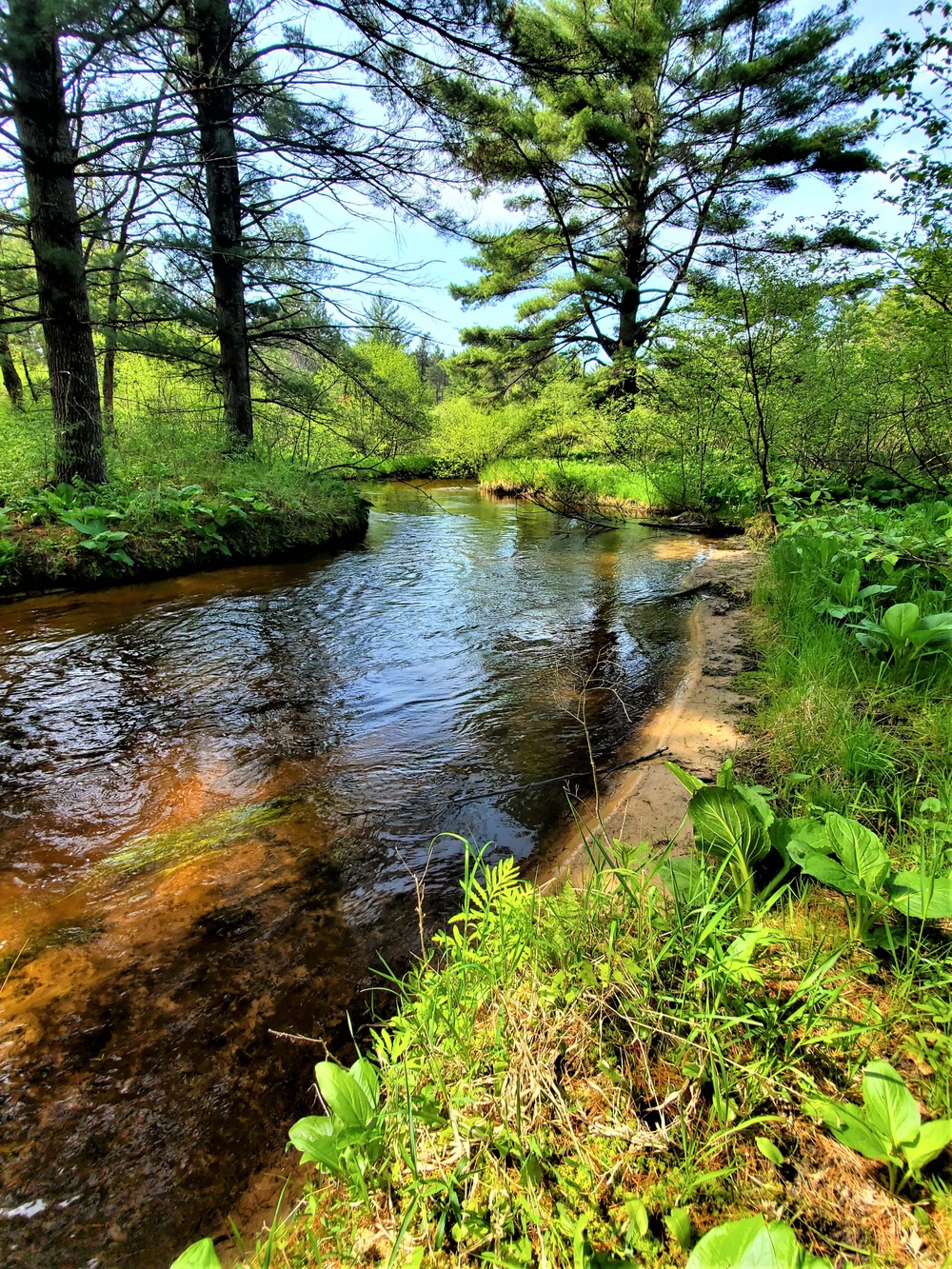 Fort McCoy's Pine View Recreation Area