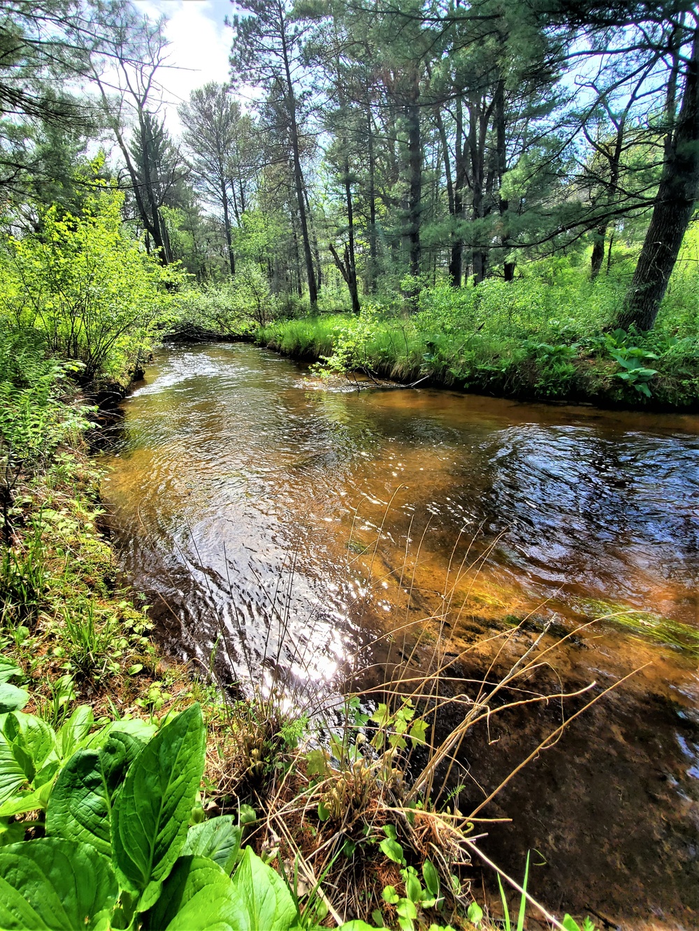 Fort McCoy's Pine View Recreation Area