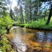 Fort McCoy's Pine View Recreation Area