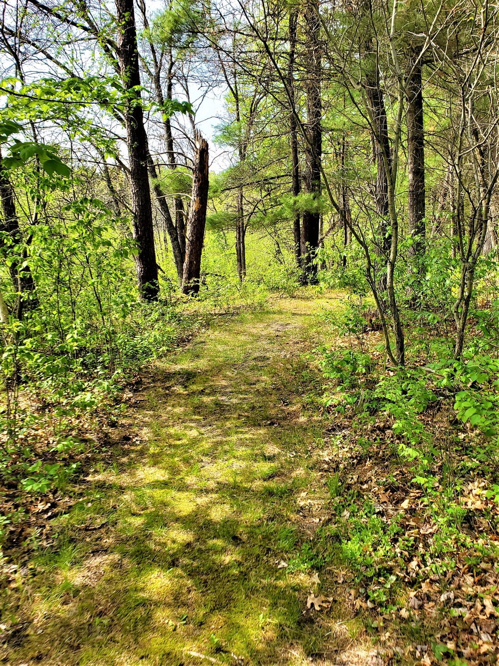 Fort McCoy's Pine View Recreation Area