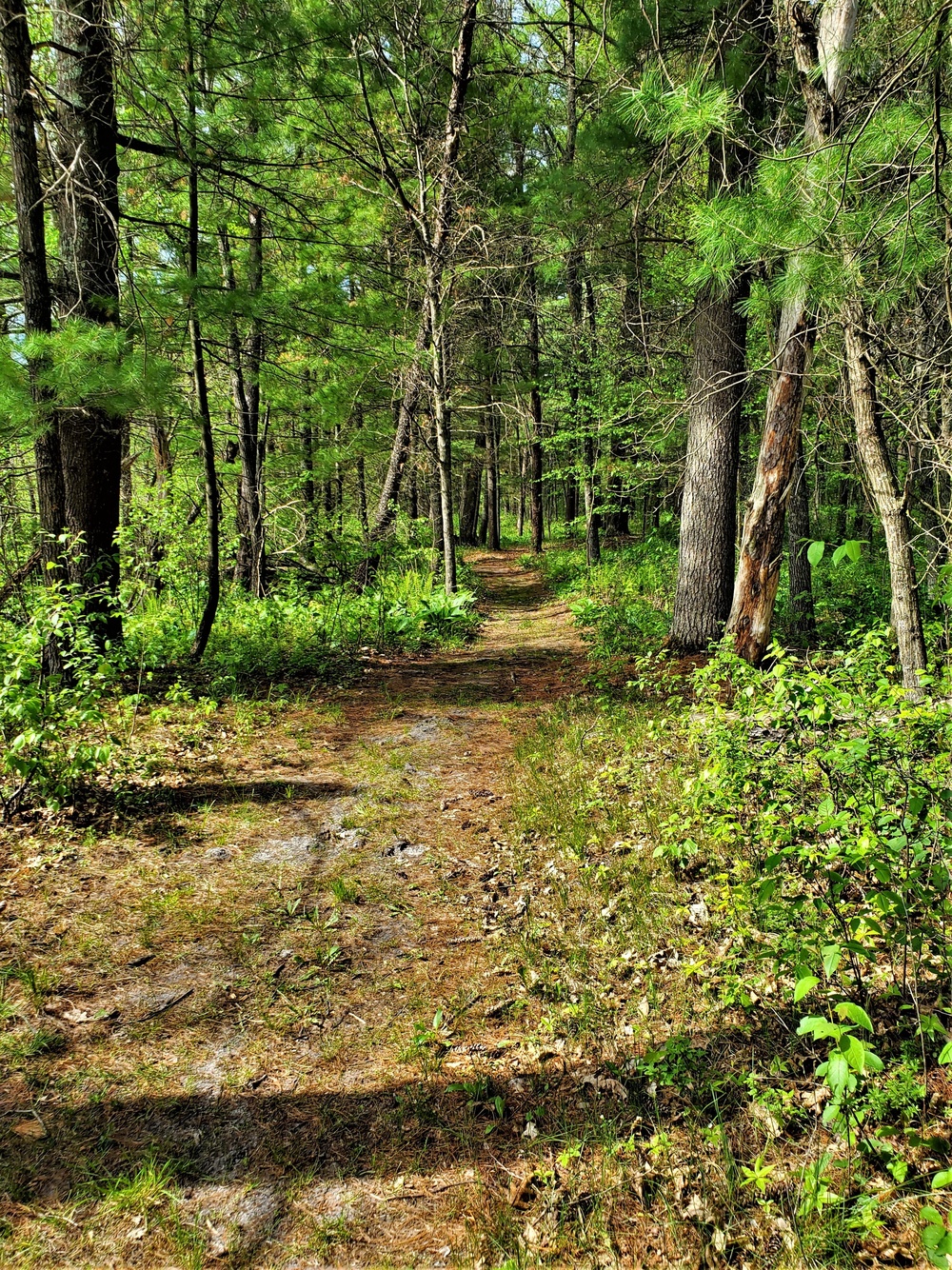 Fort McCoy's Pine View Recreation Area