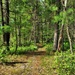 Fort McCoy's Pine View Recreation Area