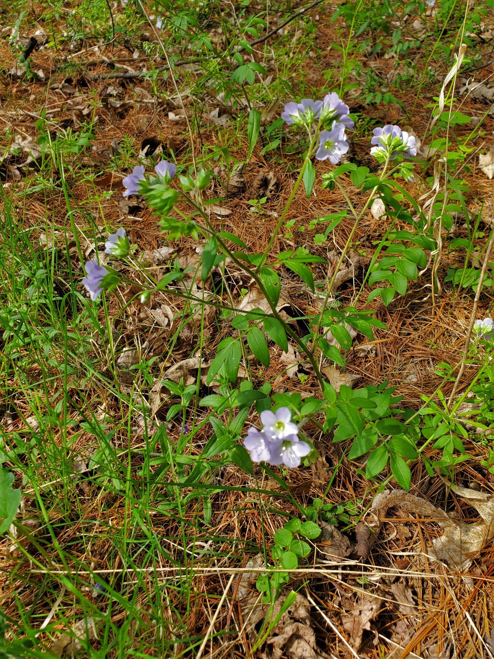 Fort McCoy's Pine View Recreation Area