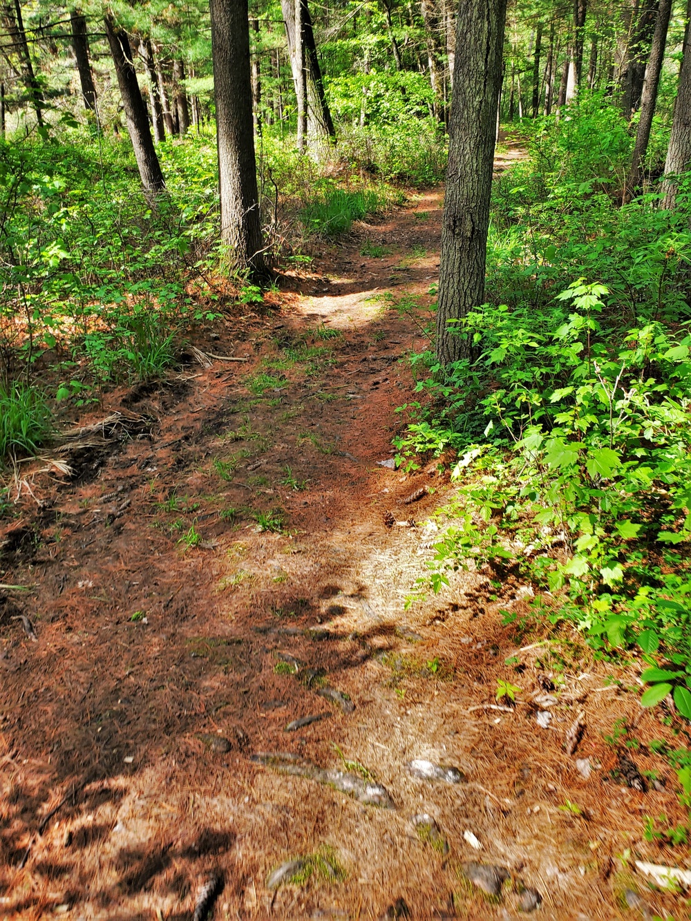 Fort McCoy's Pine View Recreation Area