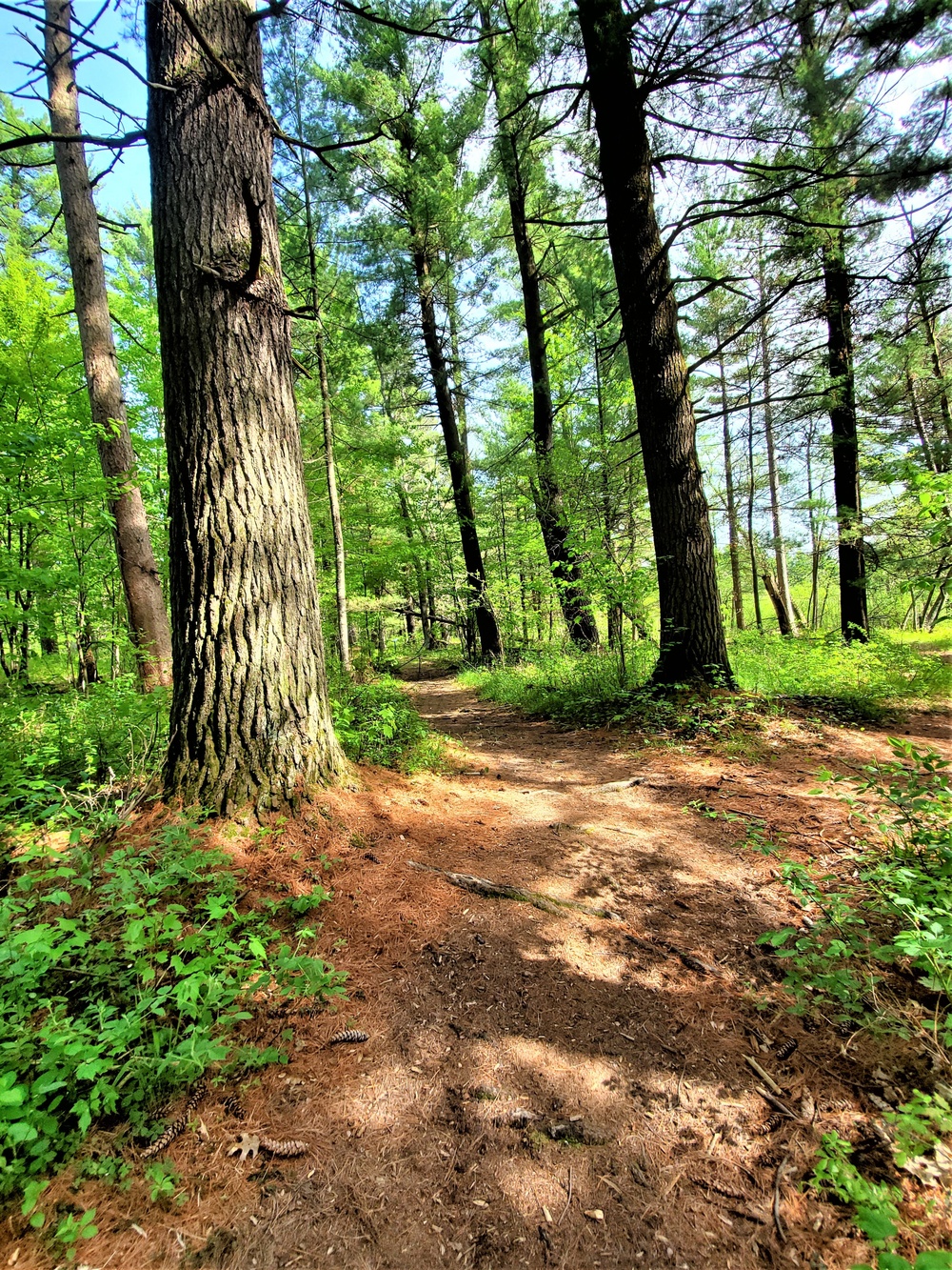 Fort McCoy's Pine View Recreation Area