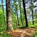 Fort McCoy's Pine View Recreation Area