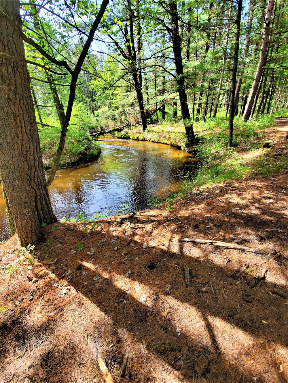 Fort McCoy's Pine View Recreation Area