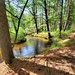 Fort McCoy's Pine View Recreation Area