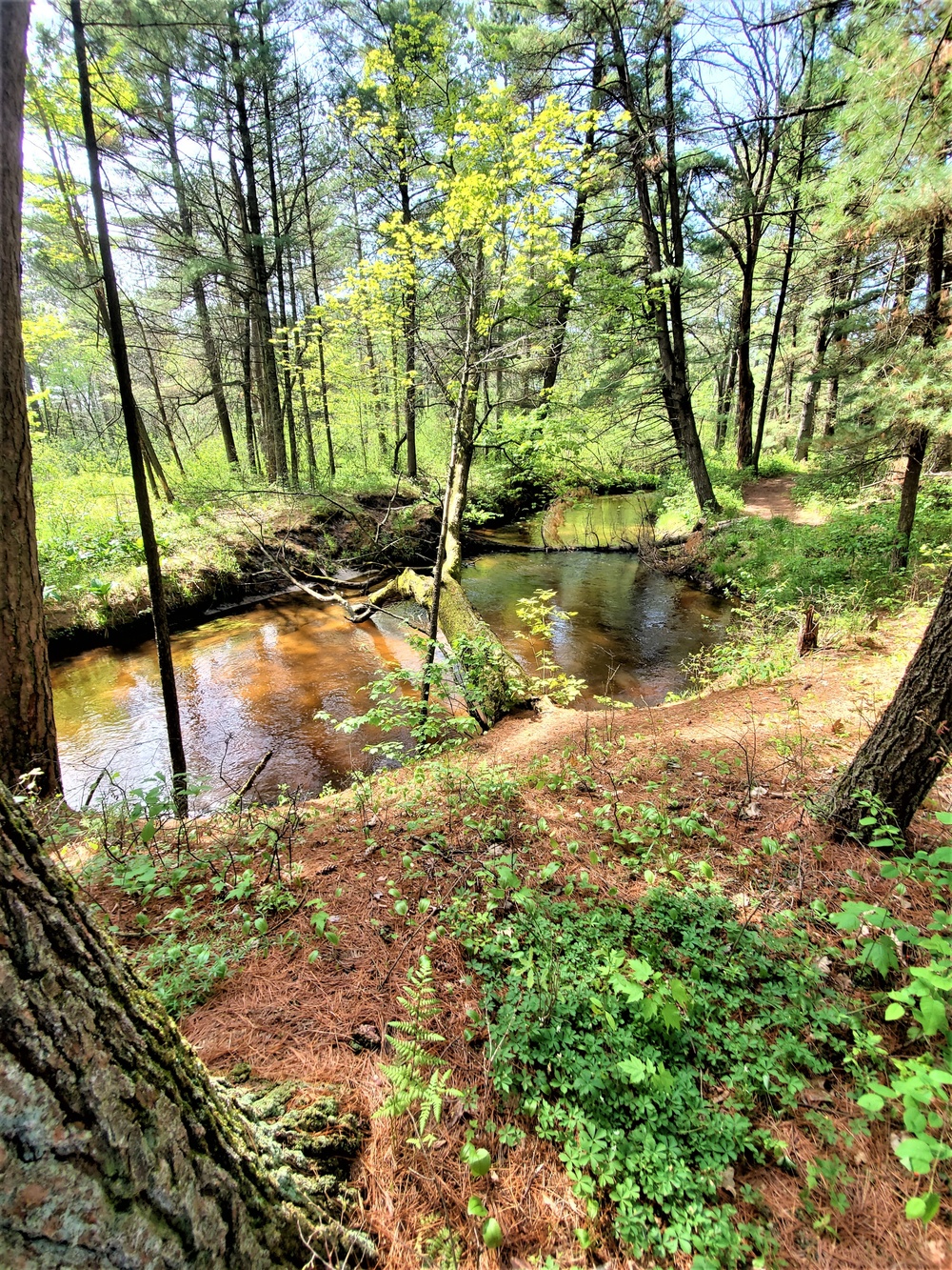 Fort McCoy's Pine View Recreation Area