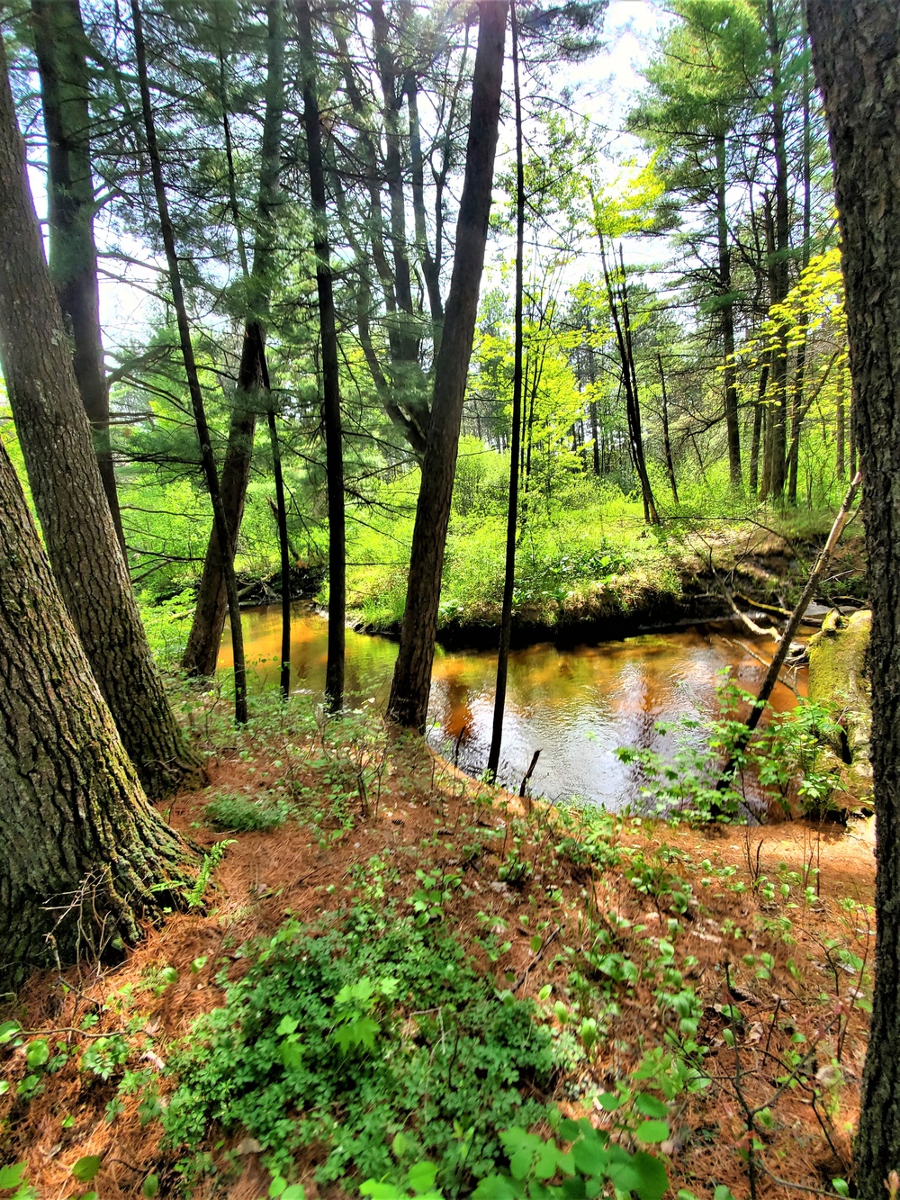 Fort McCoy's Pine View Recreation Area