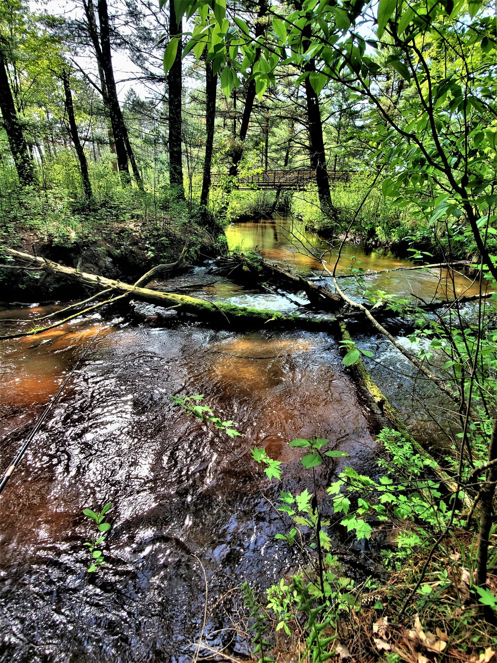 Fort McCoy's Pine View Recreation Area