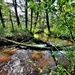 Fort McCoy's Pine View Recreation Area