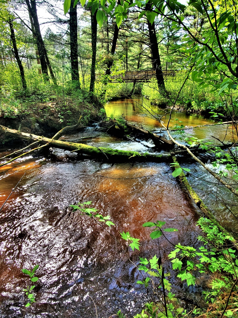 Fort McCoy's Pine View Recreation Area