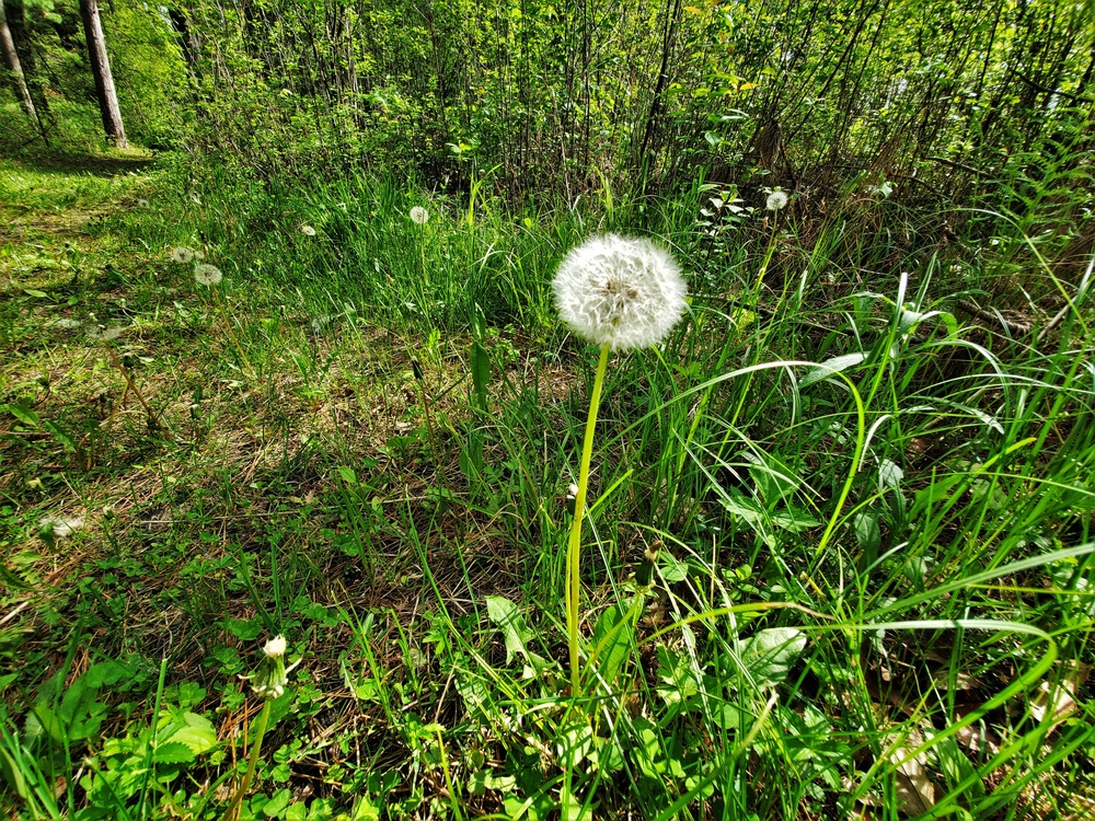 Fort McCoy's Pine View Recreation Area