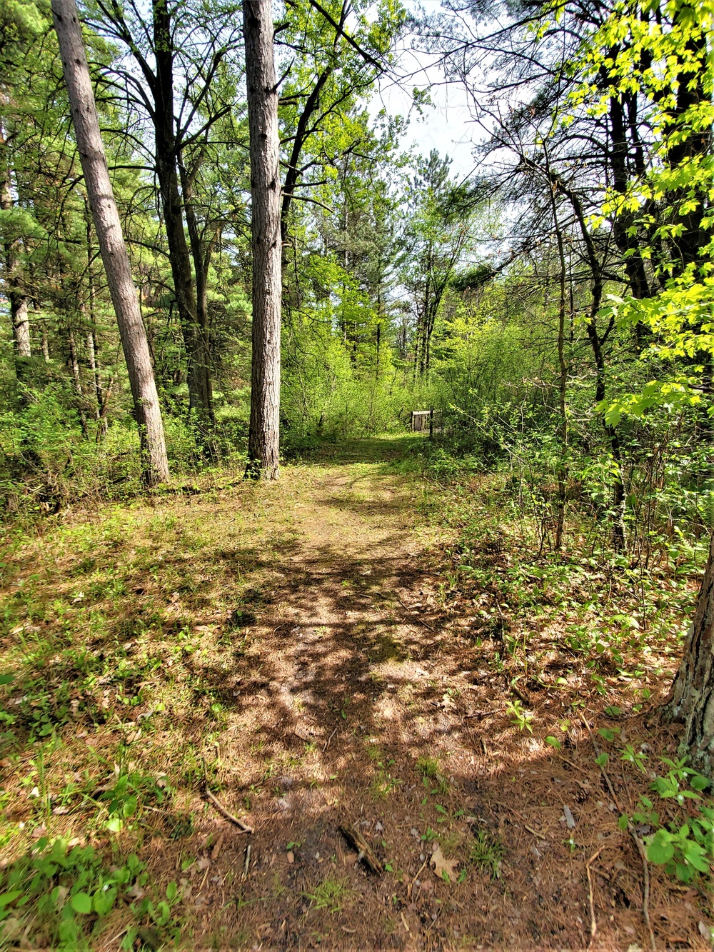 Fort McCoy's Pine View Recreation Area