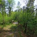 Fort McCoy's Pine View Recreation Area