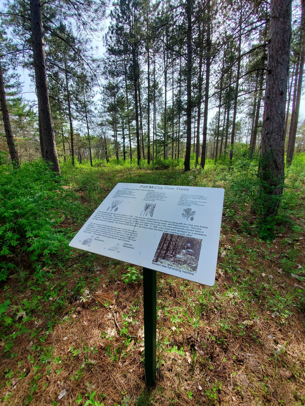 Fort McCoy's Pine View Recreation Area