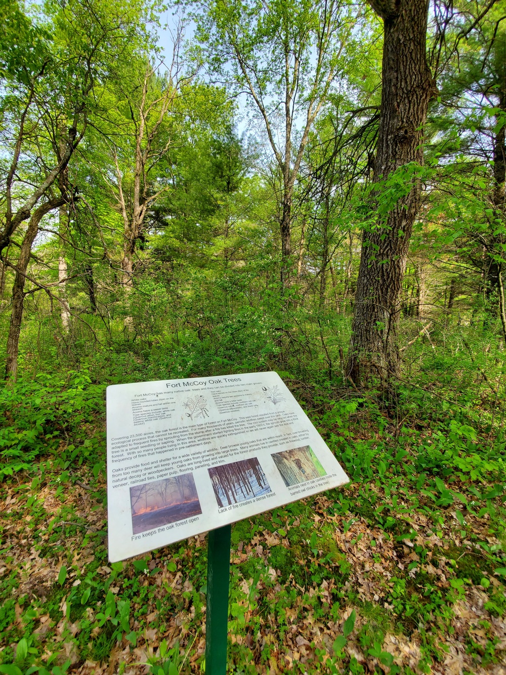 Fort McCoy's Pine View Recreation Area