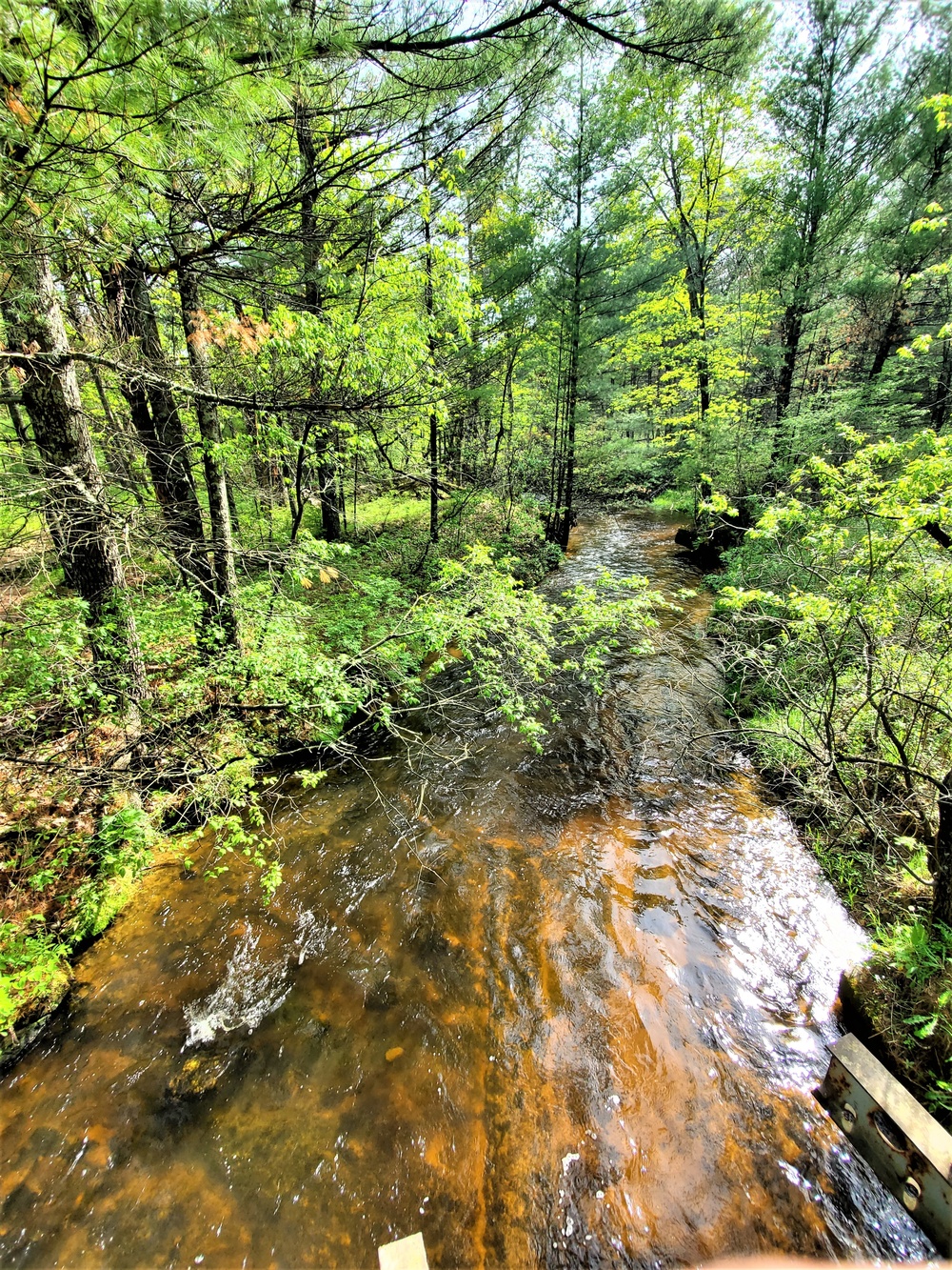 Fort McCoy's Pine View Recreation Area