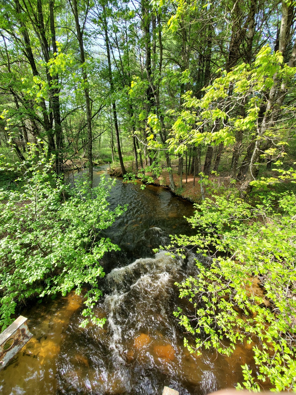 Fort McCoy's Pine View Recreation Area