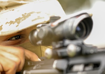 India Company Grass Week