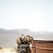 Marines Take on Range 220