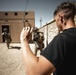 Marines Take on Range 220