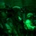 75th EAS resupplies U.S. forces in Somalia