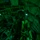 75th EAS resupplies U.S. forces in Somalia