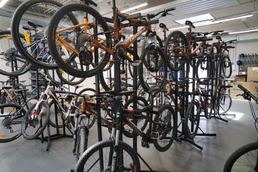 Stay safe, follow bicycle laws this summer