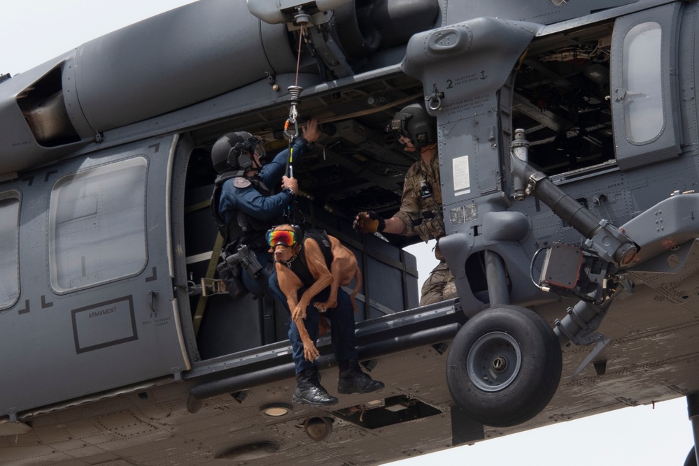 Hoist Operations at Moffet Air National Guard Base