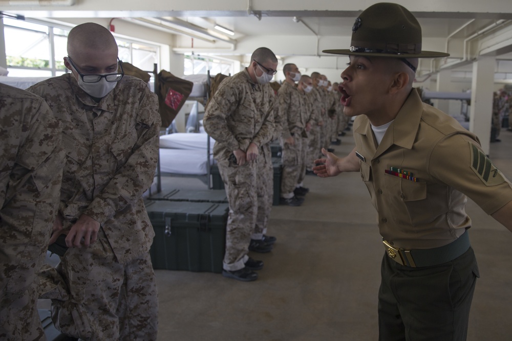 Alpha Company Black Friday