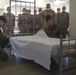 Alpha Company Black Friday