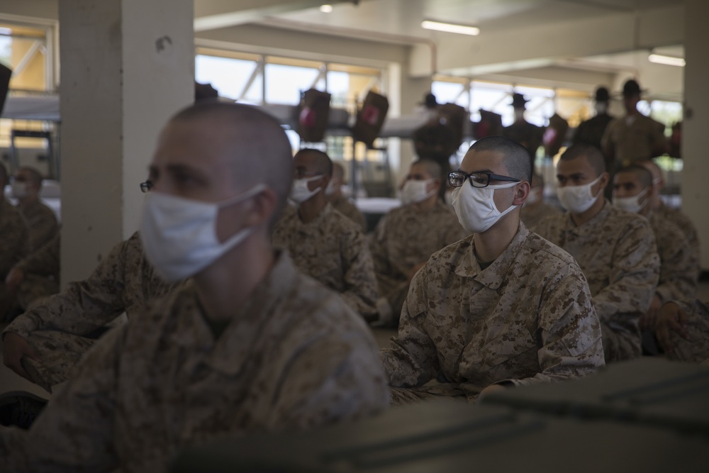 Alpha Company Black Friday