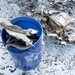 Operation Colony Glacier unearths secrets of decades-old aircraft crash