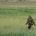 eFP Battle Group Poland conducts Bull Run 12 bridging operation rehearsal