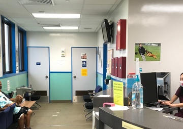 Kadena’s Veterinary Clinic Mission Ready, Prepares for PCS Season