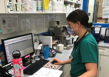 Kadena’s Veterinary Clinic Mission Ready, Prepares for PCS Season