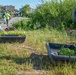 Unity Island plantings