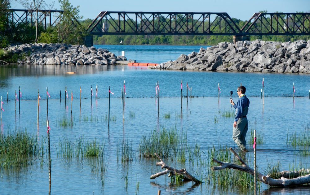 Inspecting plantings at Unity Island