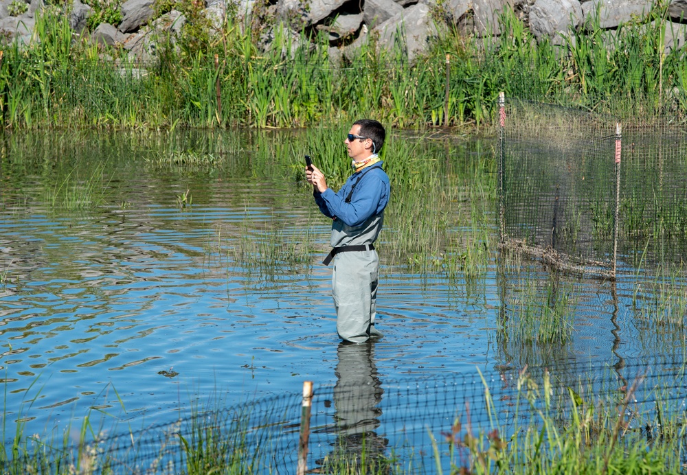 Inspecting plantings at Unity Island