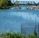 Inspecting plantings at Unity Island