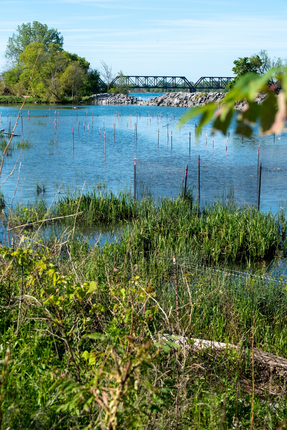 Unity Island North Pond